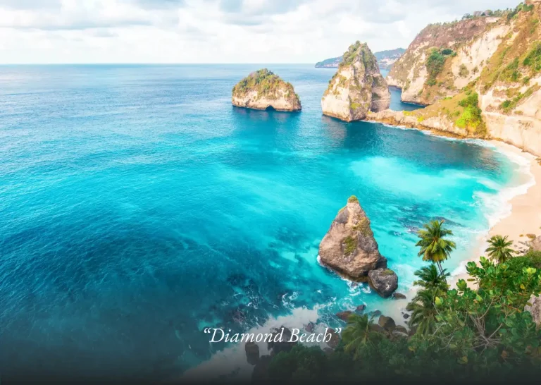 nusa penida safari tour