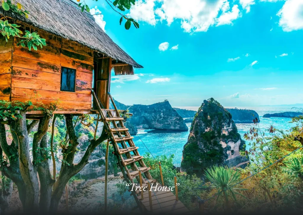 nusa penida east tour package