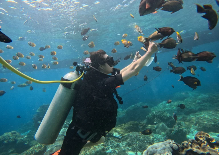 nusa penida activity - fun diving (1)