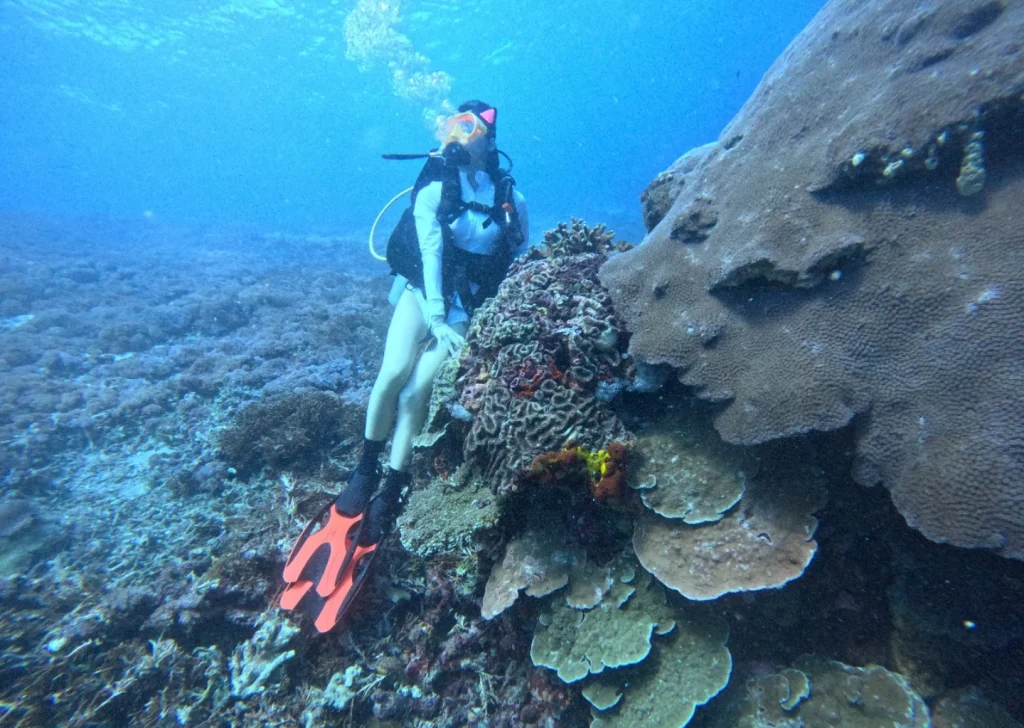 nusa penida activity - fun diving (3)