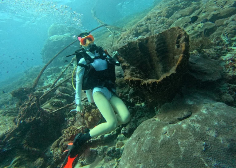 nusa penida fun diving