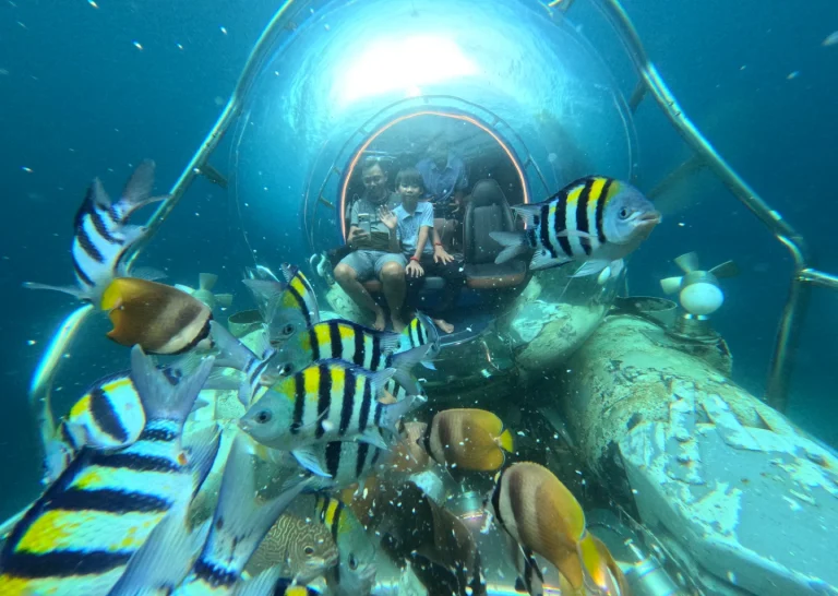 nusa penida activity - submarine adventure (5)