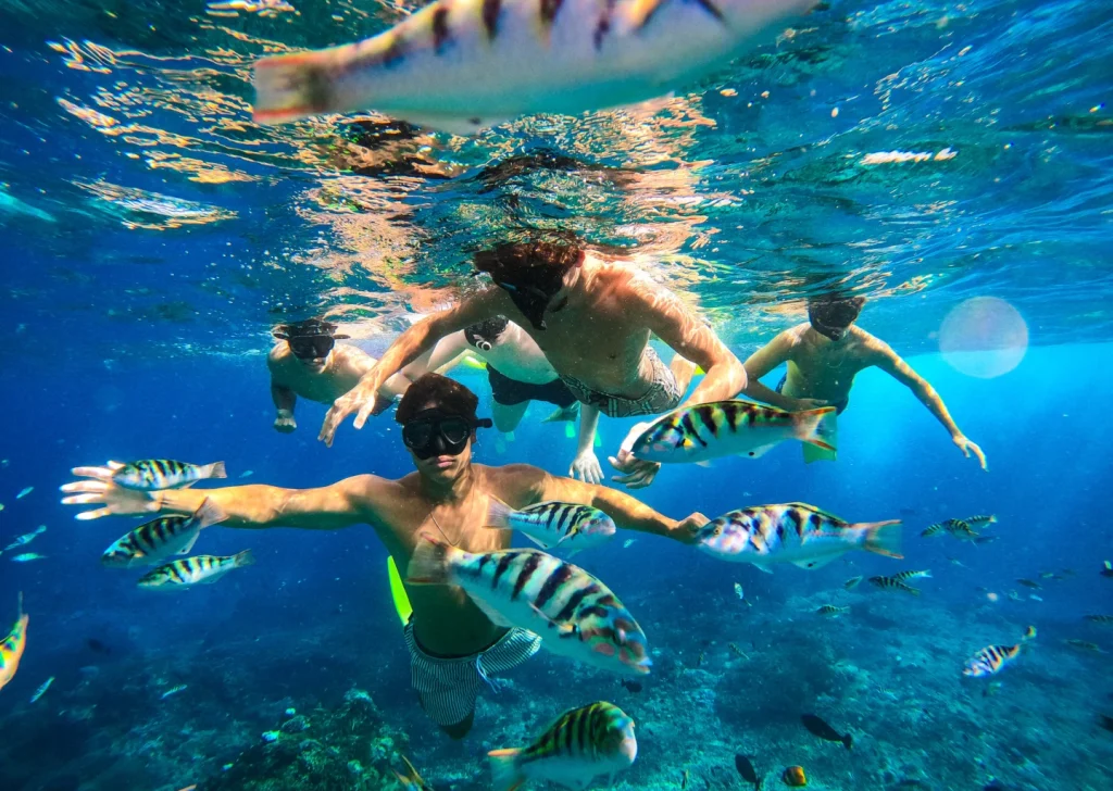 nusa penida tours - diving