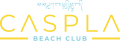 Logo_Caspla Primary_Color (1)